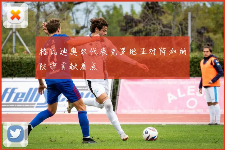 格瓦迪奥尔代表克罗地亚对阵加纳防守贡献看点